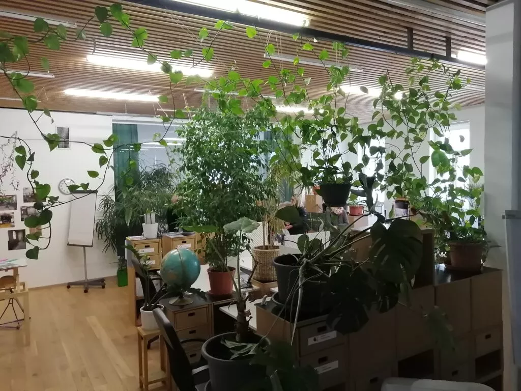 WBL Ausflug Ottensheim Büro